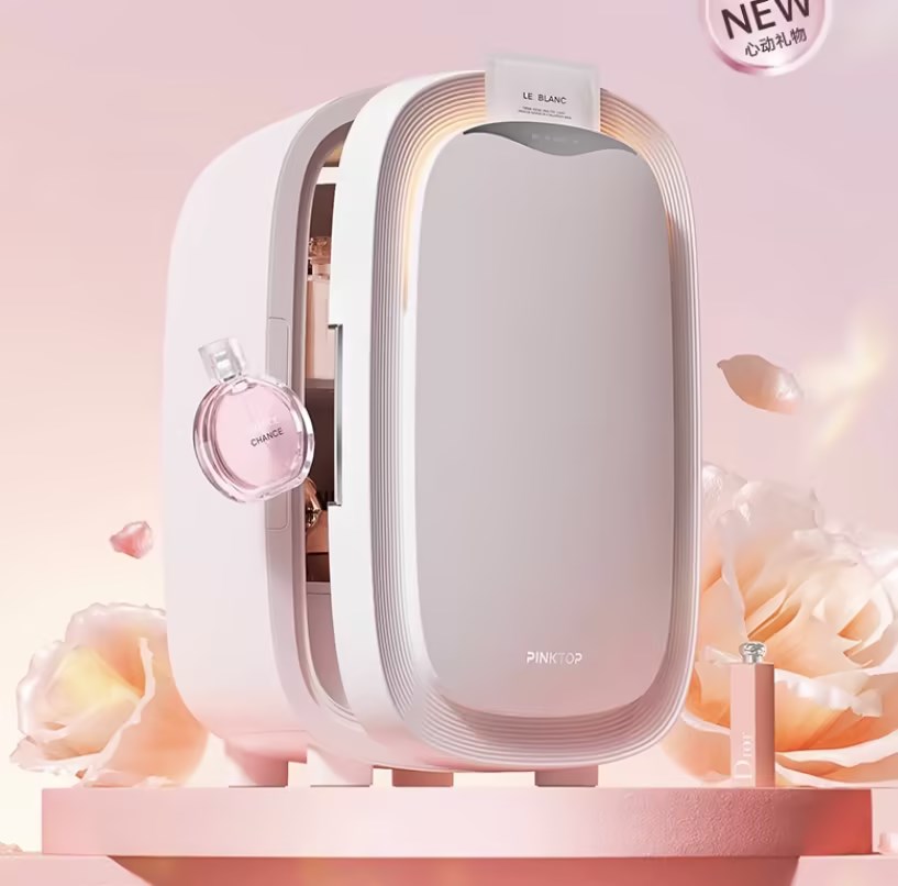 12L draagbare mini-schoonheids - Beauty Makeup Fridge recensie en prijs