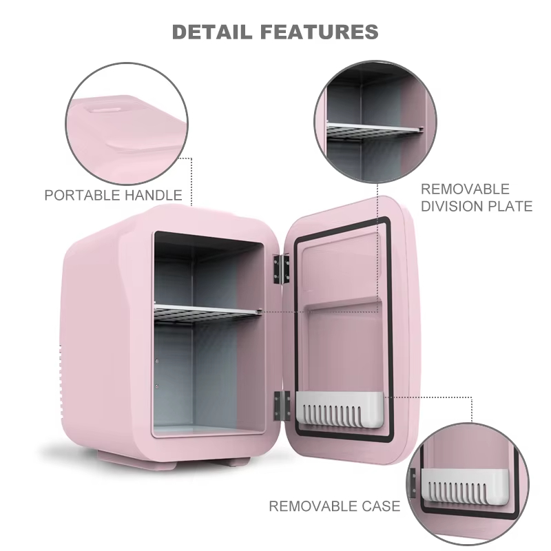 Goede prijs draagbare auto min - Beauty Makeup Fridge recensie en prijs