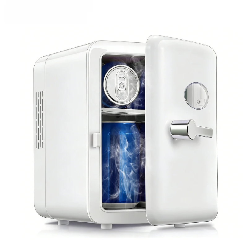 Draagbare 4L Mini Beauty Koelk - Beauty Makeup Fridge recensie en prijs
