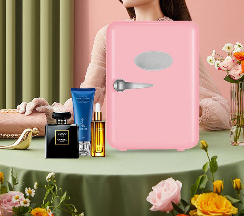 Tweeërlei gebruik 4L koelkaste - Beauty Makeup Fridge recensie en prijs