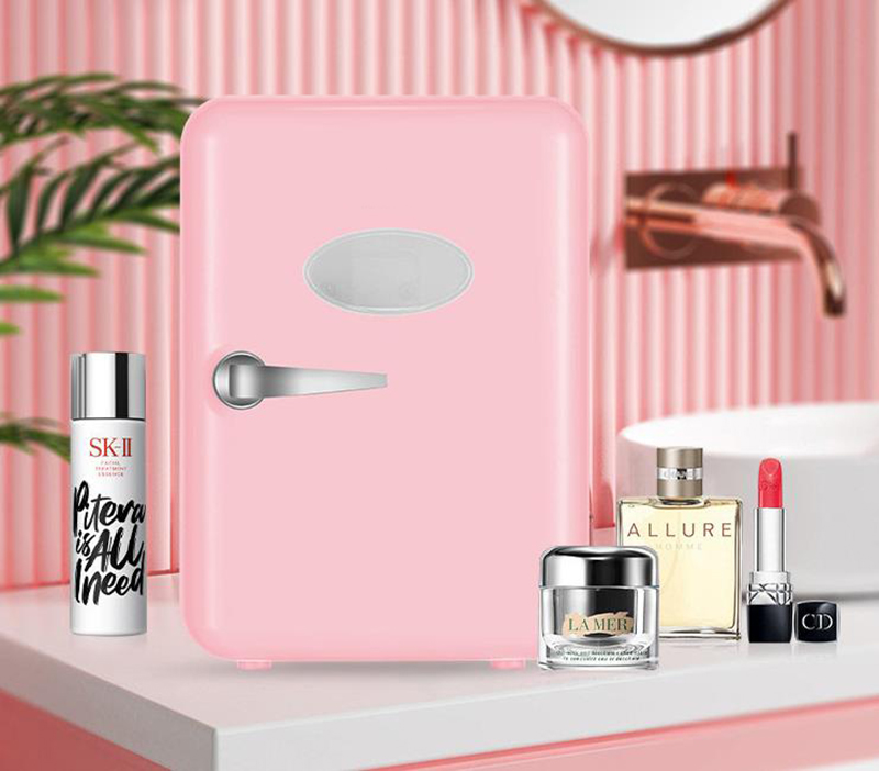 Tweeërlei gebruik 4L koelkaste - Beauty Makeup Fridge recensie en prijs